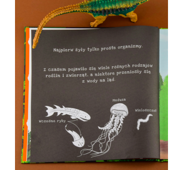Dinozaury - Poznaj Sekretny Świat Dinozaurów - Podświetl i Odkryj - Wydawnictwo Api Papi
