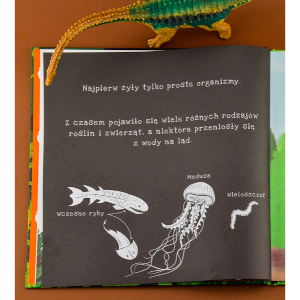 Dinozaury - Poznaj Sekretny Świat Dinozaurów - Podświetl i Odkryj - Wydawnictwo Api Papi