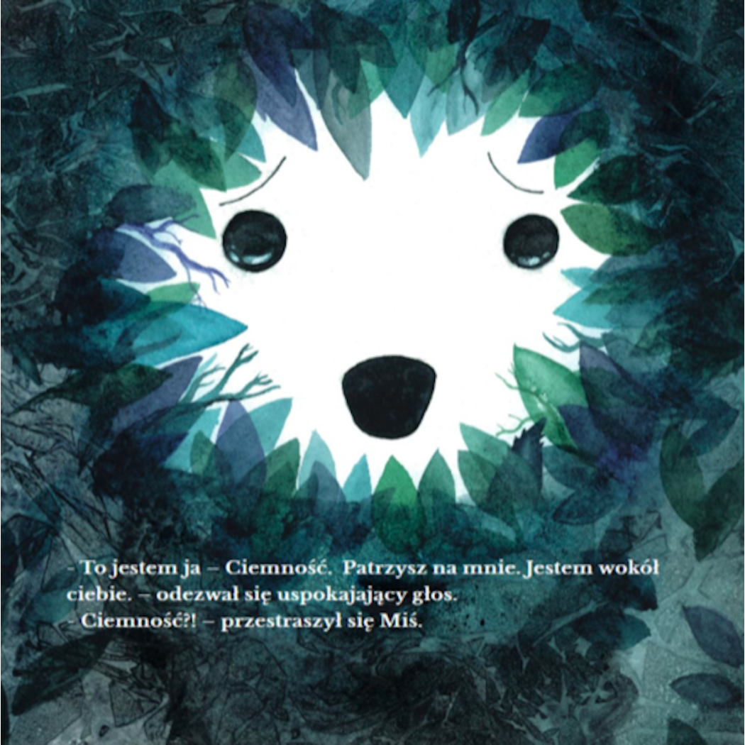 Książka Dla Dzieci - Miś i Ciemność - Rabbit & Friends