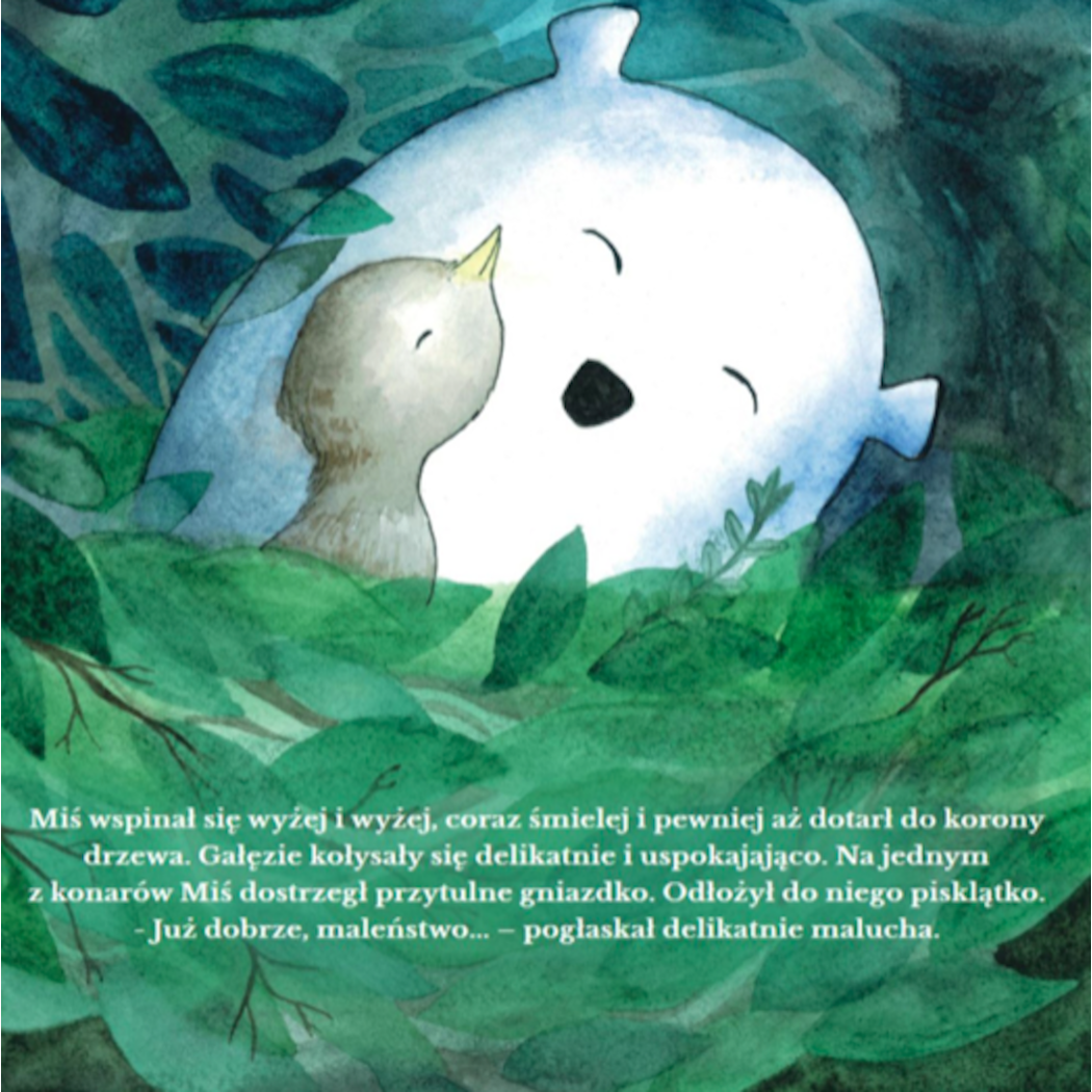 Książka Dla Dzieci - Miś i Ciemność - Rabbit & Friends