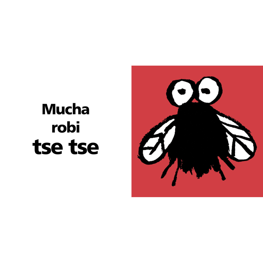 KSIĘGA DŹWIĘKÓW - Soledad Bravi - DWIE SIOSTRY