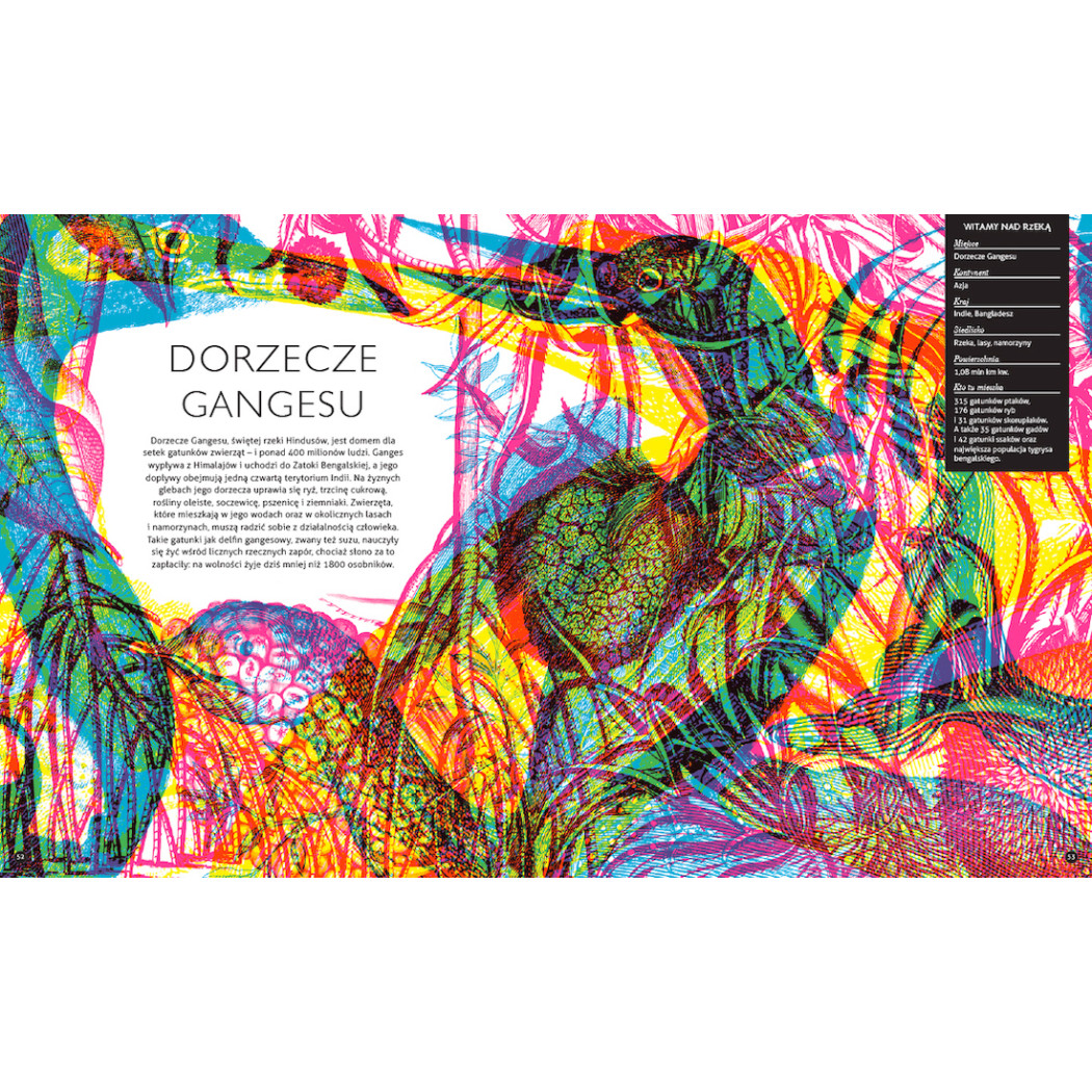 GABINET ZOOLOGII - Rachel Williams - WYDAWNICTWO DWIE SIOSTRY