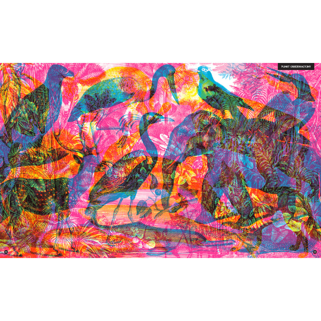 GABINET ZOOLOGII - Rachel Williams - WYDAWNICTWO DWIE SIOSTRY