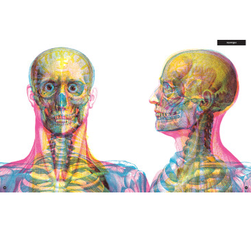 GABINET ANATOMII - Taylor Barbara, Carnovsky - WYDAWNICTWO DWIE SIOSTRY
