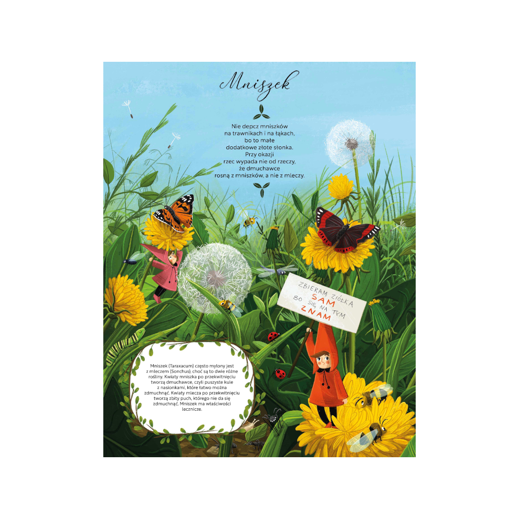 ŁĄKA - Fakty, Wierszyki i Inne Wybryki - Małgorzata Strzałkowska - MEDIA RODZINA