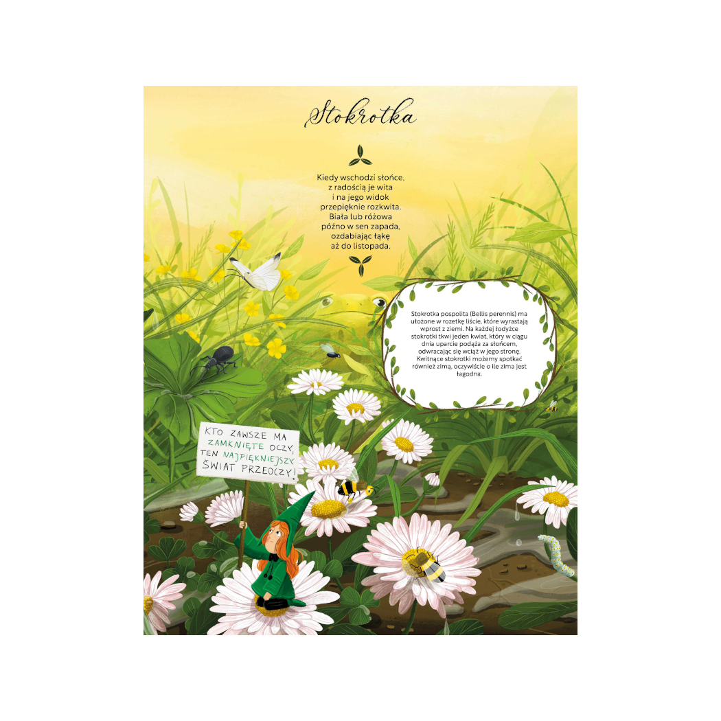 ŁĄKA - Fakty, Wierszyki i Inne Wybryki - Małgorzata Strzałkowska - MEDIA RODZINA