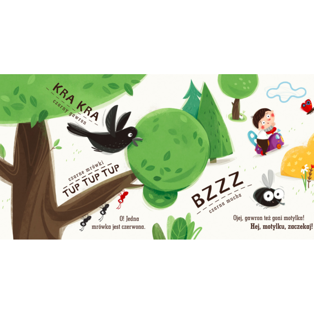 Pucio Poznaje Kolory i Dźwięki - Nasza Księgarnia