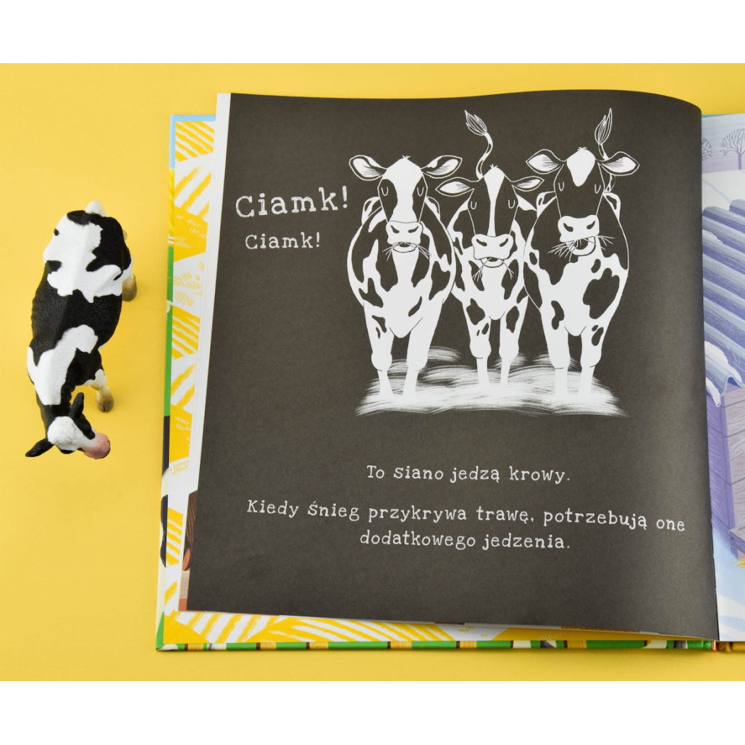 Na Farmie - Wyjątkowa Książka Pozwalająca Zobaczyć Co Kryje Się Na Wsi - Na Farmie Podświetl i Odkryj - Wydawnictwo Api Papi