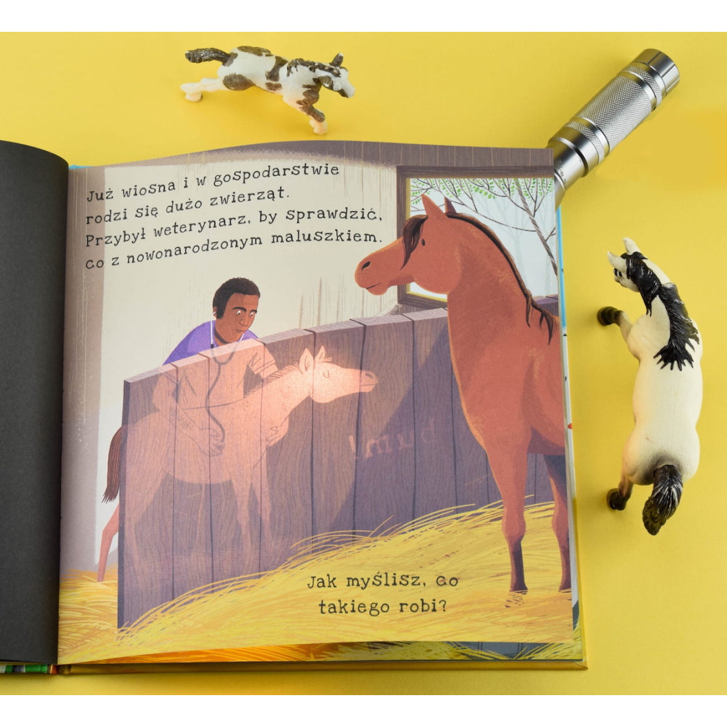 Na Farmie - Wyjątkowa Książka Pozwalająca Zobaczyć Co Kryje Się Na Wsi - Na Farmie Podświetl i Odkryj - Wydawnictwo Api Papi