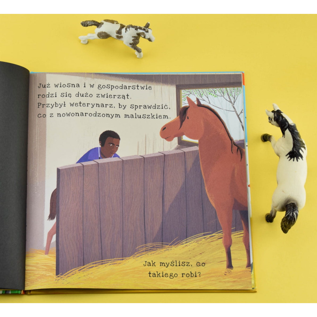 Na Farmie - Wyjątkowa Książka Pozwalająca Zobaczyć Co Kryje Się Na Wsi - Na Farmie Podświetl i Odkryj - Wydawnictwo Api Papi