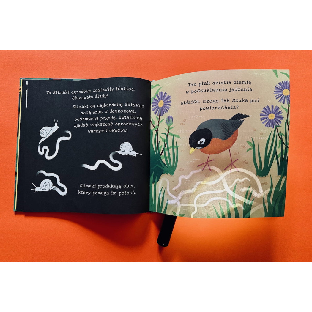 Ale Robale - Wyjątkowa Książka Pozwalająca Odkryć Fascynujący Świat Owadów - Ale Robale Podświetl i Odkryj - Api Papi