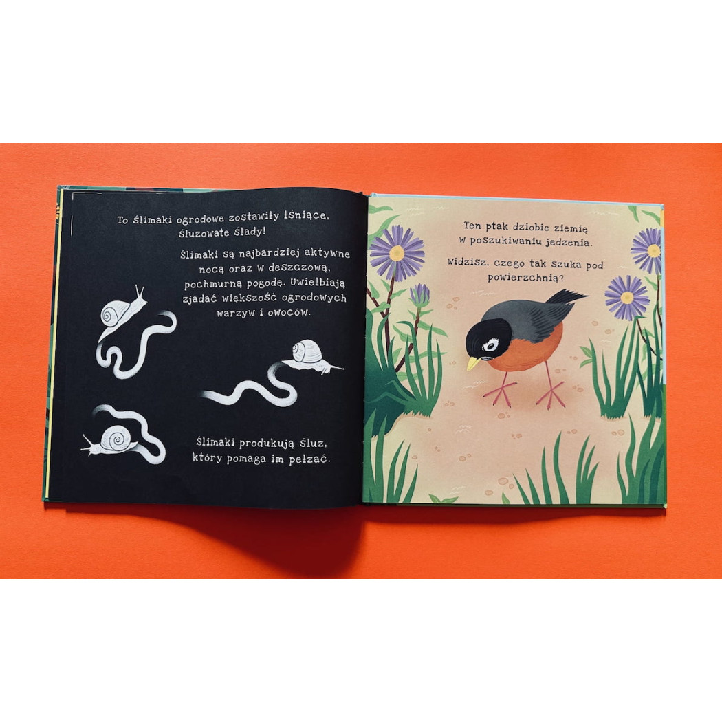 Ale Robale - Wyjątkowa Książka Pozwalająca Odkryć Fascynujący Świat Owadów - Ale Robale Podświetl i Odkryj - Api Papi