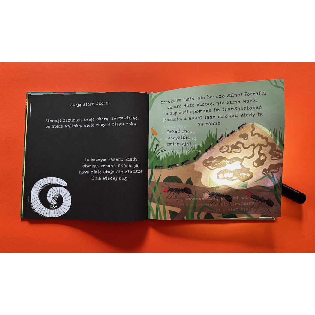 Ale Robale - Wyjątkowa Książka Pozwalająca Odkryć Fascynujący Świat Owadów - Ale Robale Podświetl i Odkryj - Api Papi