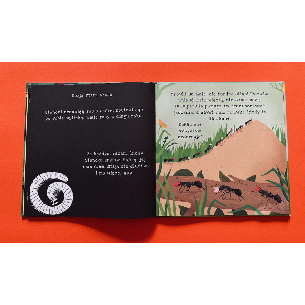 Ale Robale - Wyjątkowa Książka Pozwalająca Odkryć Fascynujący Świat Owadów - Ale Robale Podświetl i Odkryj - Api Papi