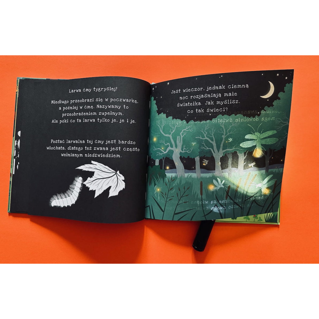 Ale Robale - Wyjątkowa Książka Pozwalająca Odkryć Fascynujący Świat Owadów - Ale Robale Podświetl i Odkryj - Api Papi