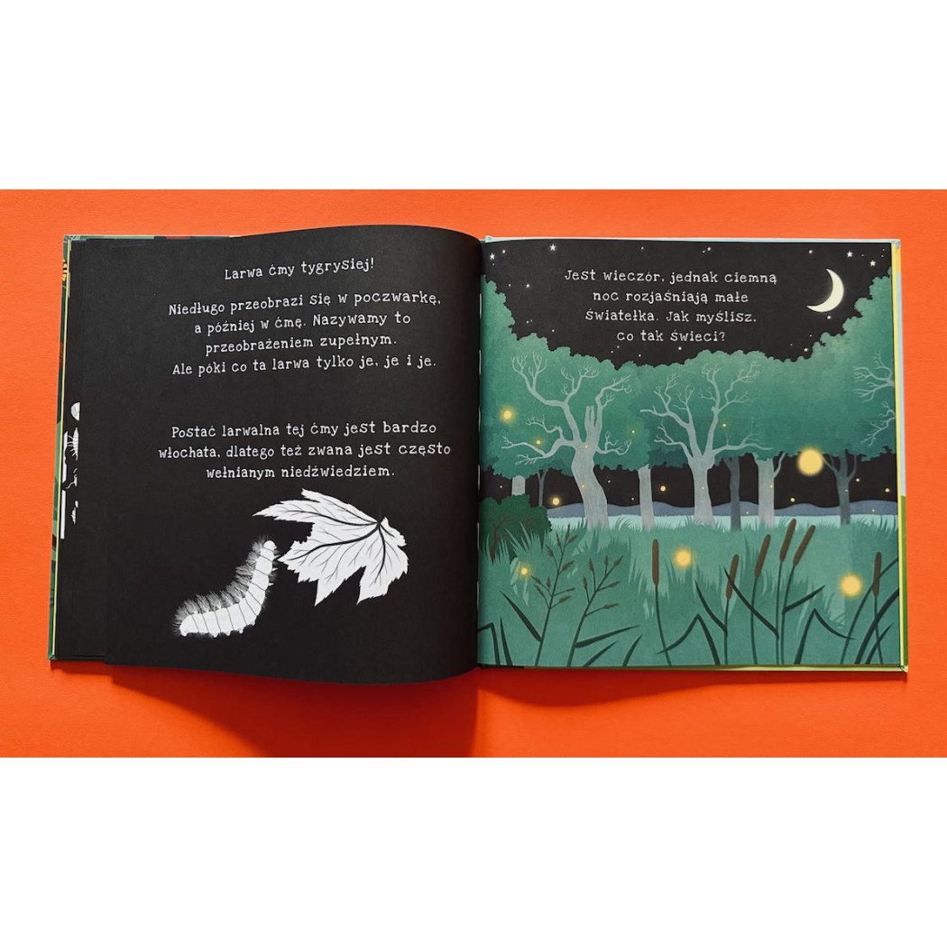 Ale Robale - Wyjątkowa Książka Pozwalająca Odkryć Fascynujący Świat Owadów - Ale Robale Podświetl i Odkryj - Api Papi