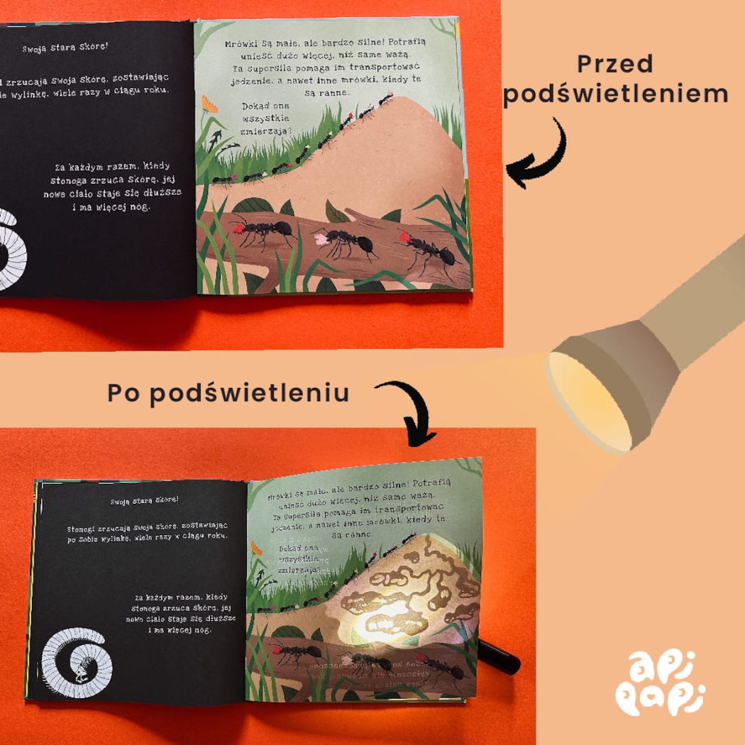 Ale Robale - Wyjątkowa Książka Pozwalająca Odkryć Fascynujący Świat Owadów - Ale Robale Podświetl i Odkryj - Api Papi