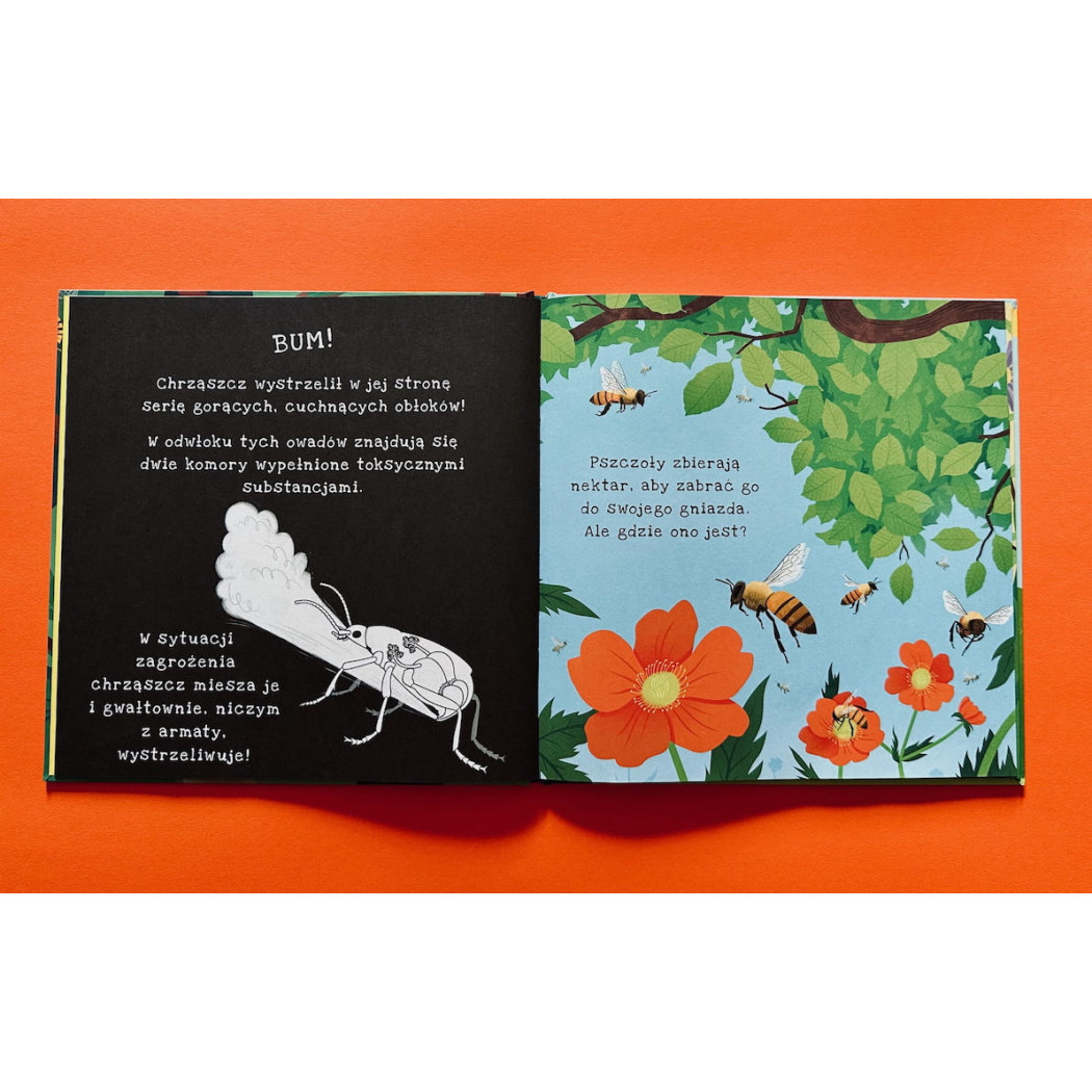 Ale Robale - Wyjątkowa Książka Pozwalająca Odkryć Fascynujący Świat Owadów - Ale Robale Podświetl i Odkryj - Api Papi