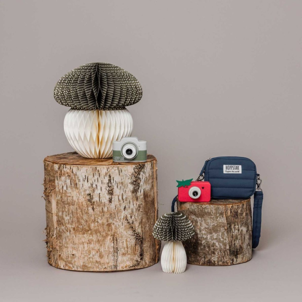 Midi Laurel - Zielona Torba do Aparatu Artist - Hoppstar