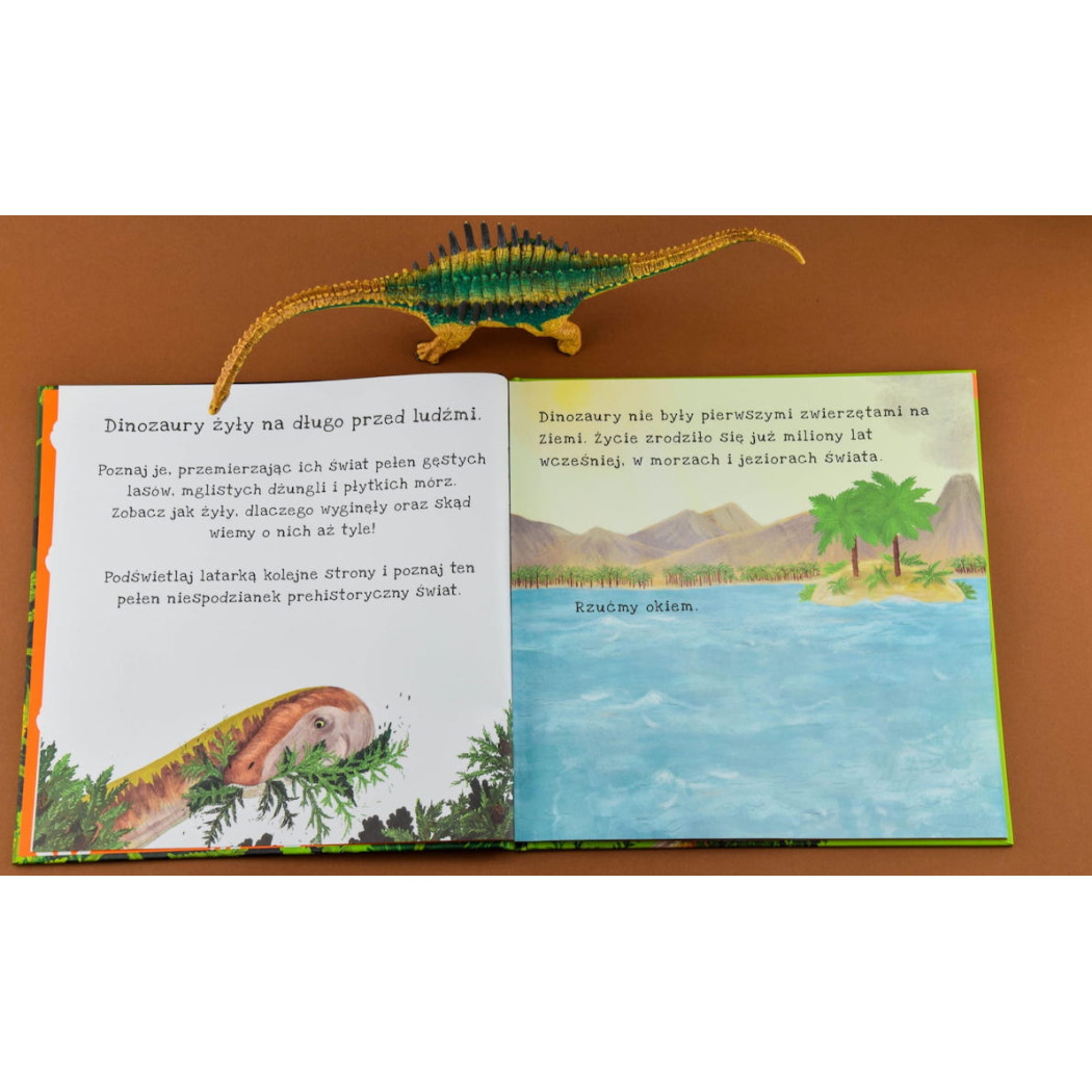 Sekrety Zimy - Zobacz Co Kryje Się Pod Śniegiem - Sekrety Zimy Podświetl i Odkryj - Wydawnictwo Api Papi