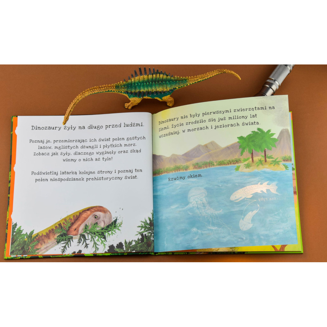 Sekrety Zimy - Zobacz Co Kryje Się Pod Śniegiem - Sekrety Zimy Podświetl i Odkryj - Wydawnictwo Api Papi