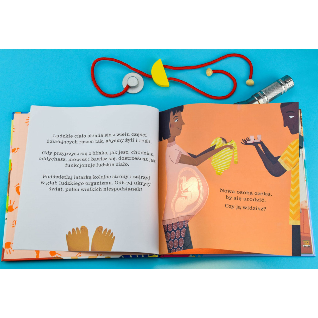 Sekrety Zimy - Zobacz Co Kryje Się Pod Śniegiem - Sekrety Zimy Podświetl i Odkryj - Wydawnictwo Api Papi