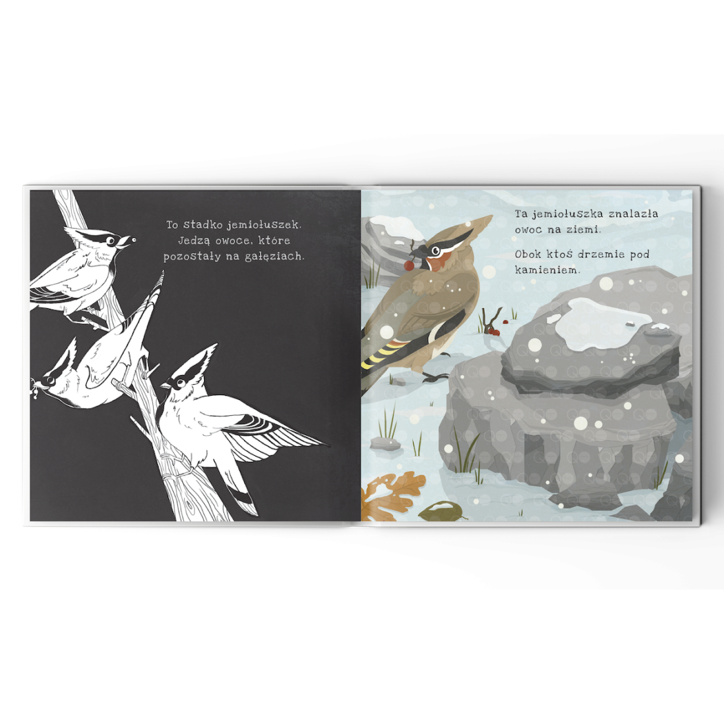 Sekrety Zimy - Zobacz Co Kryje Się Pod Śniegiem - Sekrety Zimy Podświetl i Odkryj - Wydawnictwo Api Papi