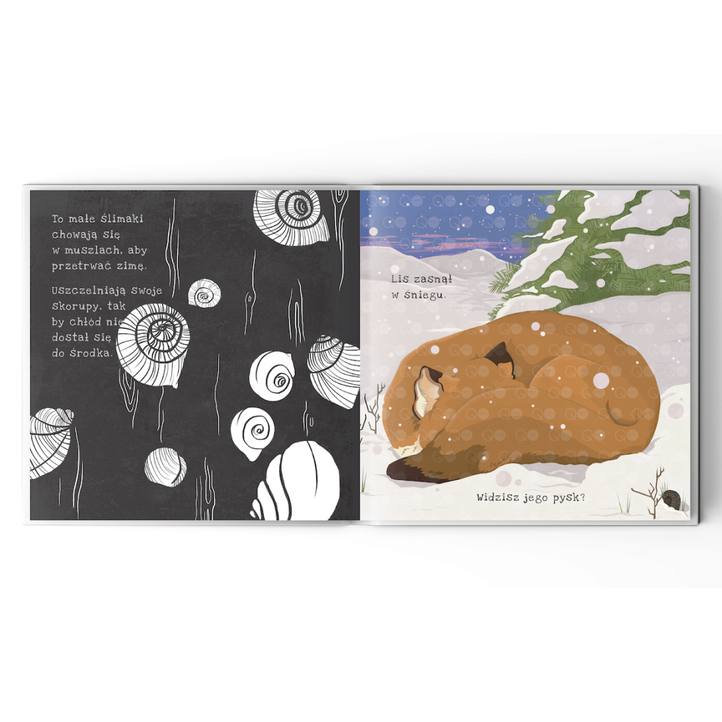 Sekrety Zimy - Zobacz Co Kryje Się Pod Śniegiem - Sekrety Zimy Podświetl i Odkryj - Wydawnictwo Api Papi