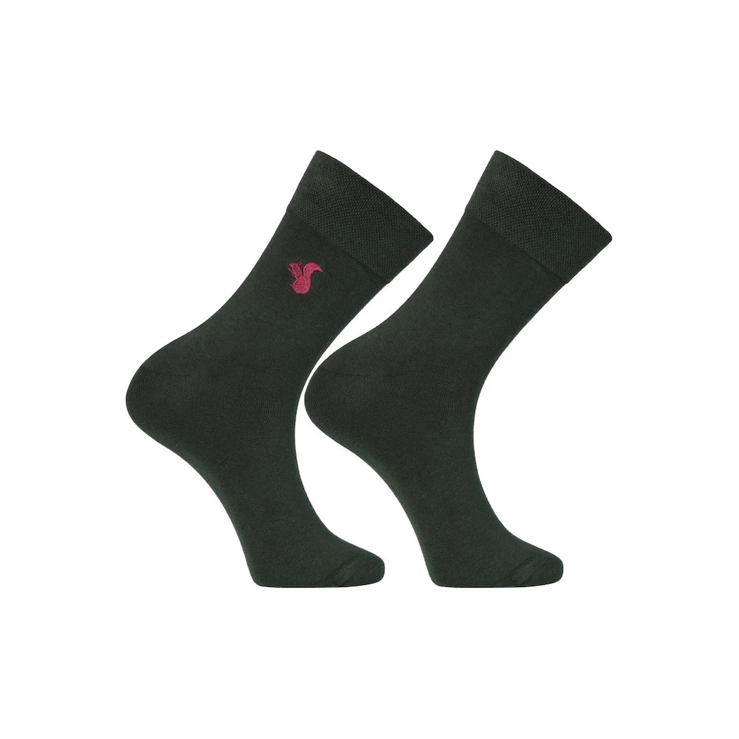 Zielone z Wiewiórką - 43-45 - Eleganckie Męskie Skarpetki - Moraj