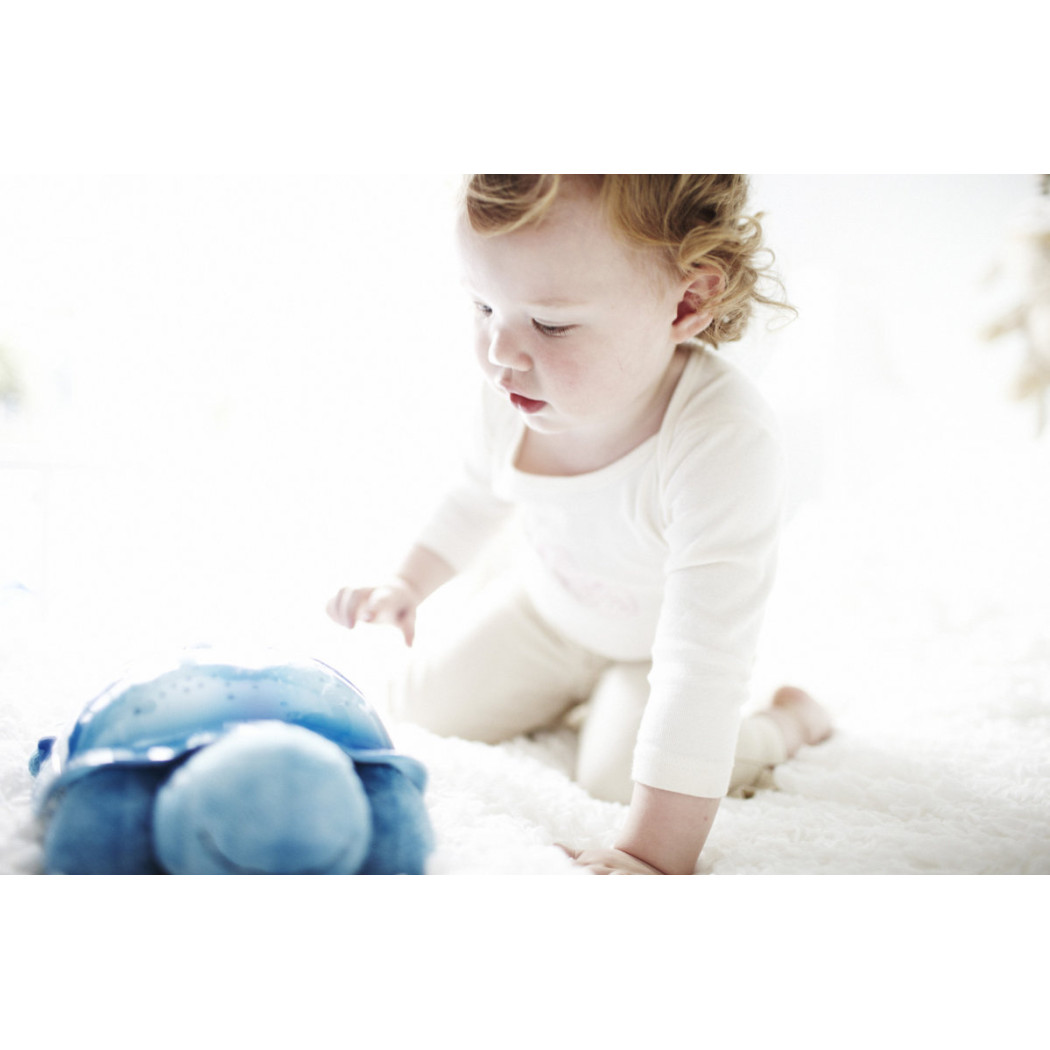 Niebieski Żółw - Projektor Gwiezdny - Cloud b® Twilight Turtle™ - Cloud B