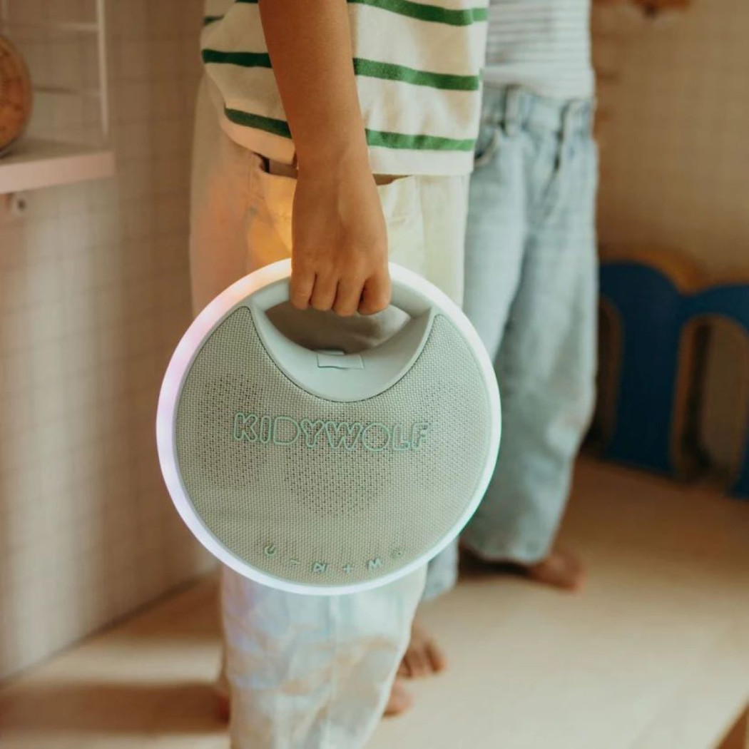 Przenośny Głośnik Karaoke z Mikrofonami - KIDYWOLF