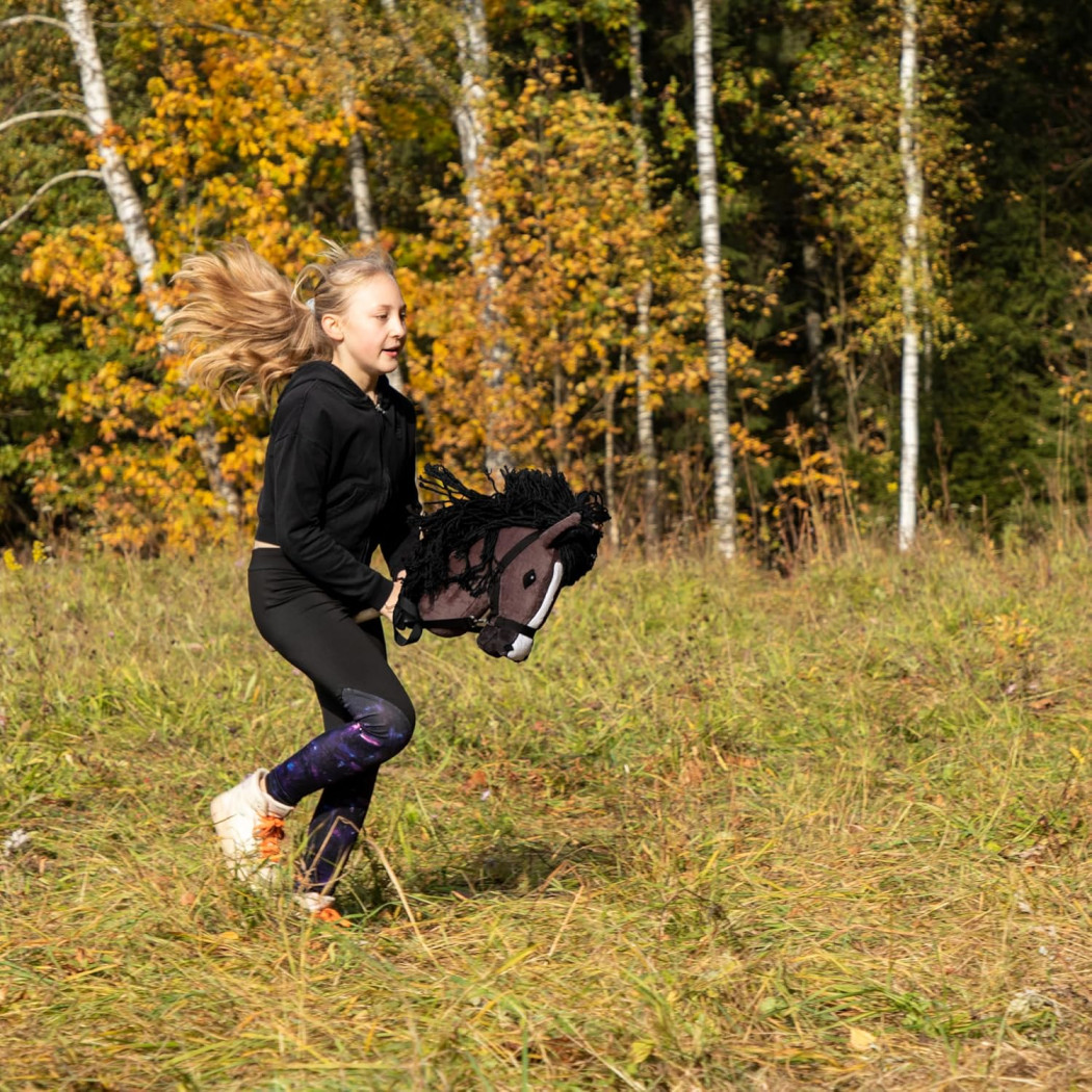 Gniady A3 - Polski Hobby Horse - Koń na Kiju - Brązowy Konik na Patyku - Skippi