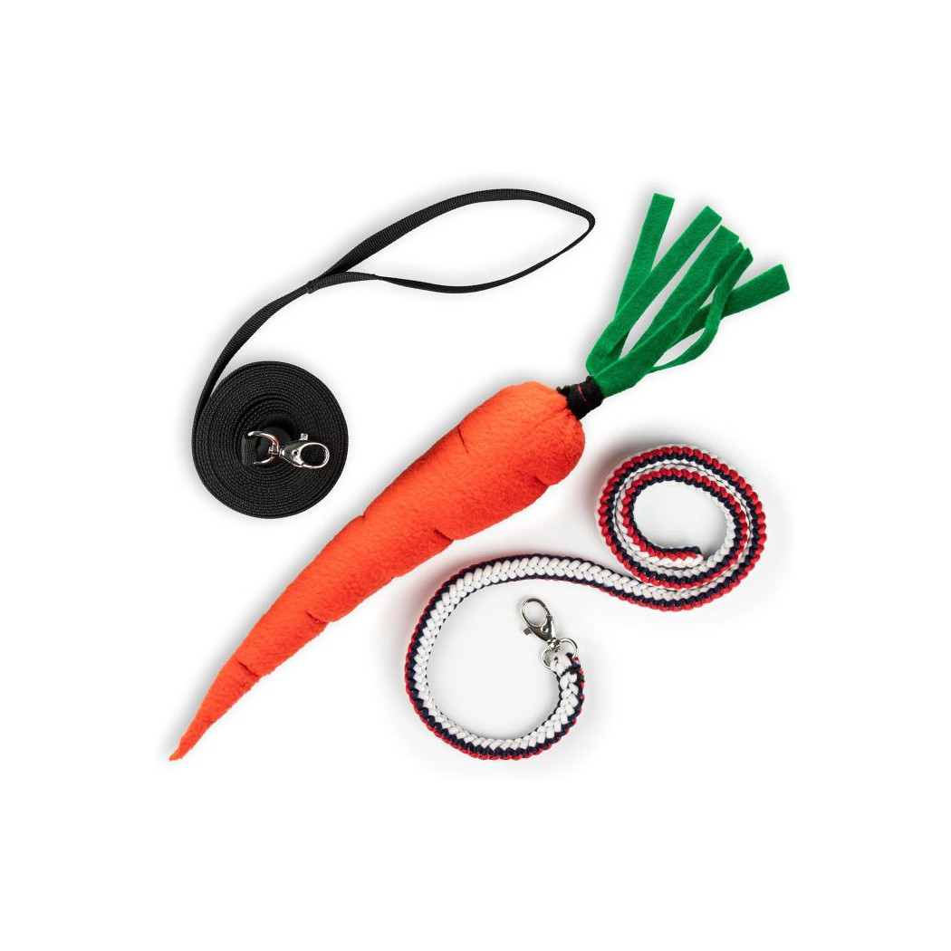 Lonża Uwiąz i Marchewka - Akcesoria Treningowe dla Hobby Horse / Konika na Kiju na Patyku - Skippi