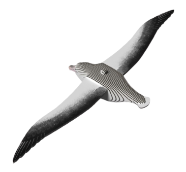 Albatros Królewski - Eko Układanka 3D - Eugy