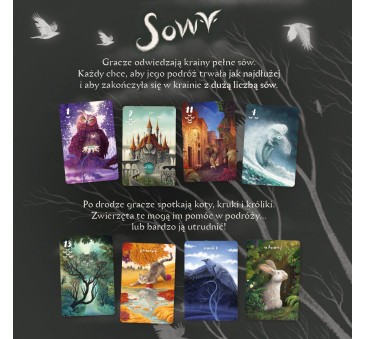 Sowy - Gra z Serii Sen - Karciana Gra Rodzinna i Towarzyska - Nasza Księgarnia