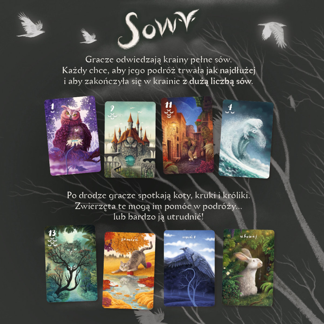 Sowy - Gra z Serii Sen - Karciana Gra Rodzinna i Towarzyska - Nasza Księgarnia