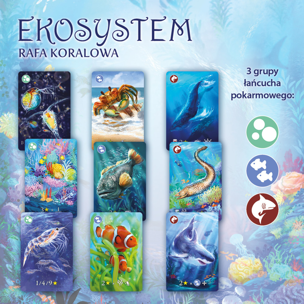 Rafa Koralowa - Ekosystem 2 - Karciana Gra Rodzinna - Nasza Księgarnia