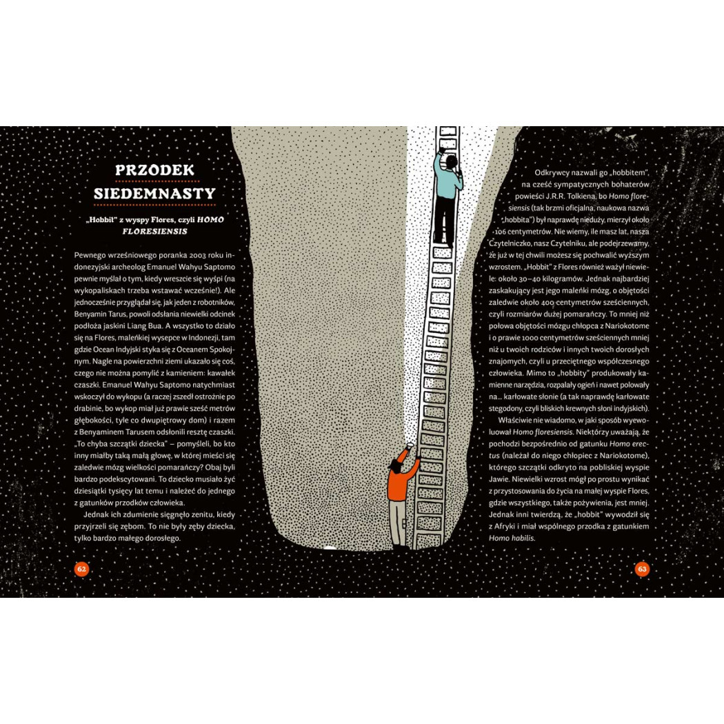 Tajemnice szkieletów - O czym klekoczą kości? - Marta Guzowska, Wiesław Więckowski - Nasza Księgarnia