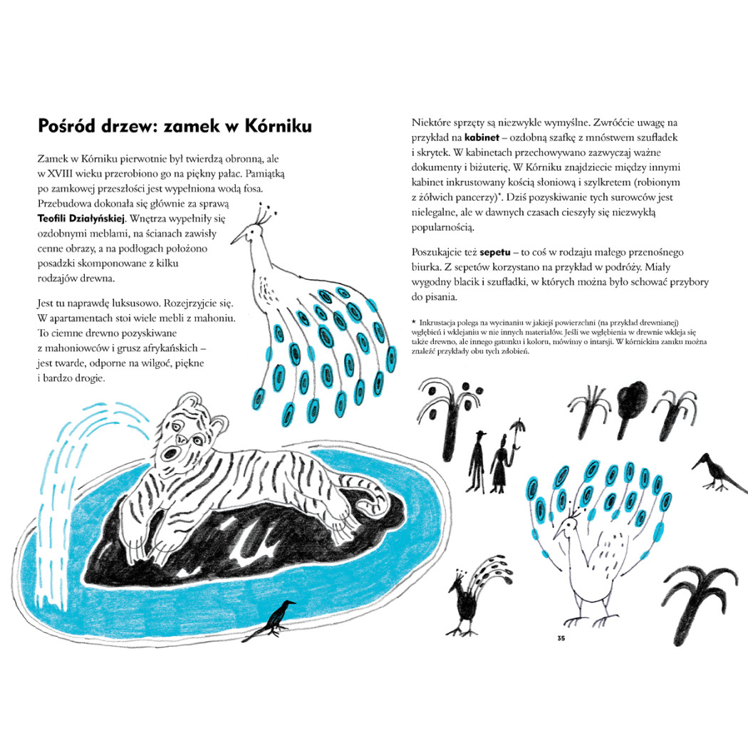 Dobra Nasza! Polska - Przewodnik po Polsce dla Dzieci - Małgorzata Ruszkowska, Klaudia Kozińska - Wydawnictwo Dwie Siostry