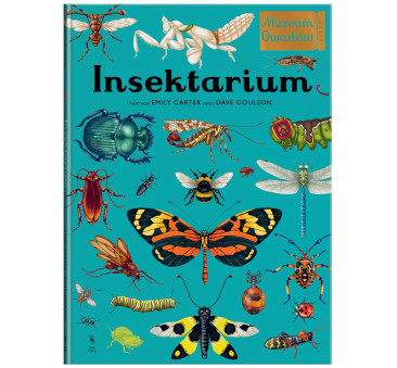 Insektarium - Muzeum Owadów - Dave Goulson,...