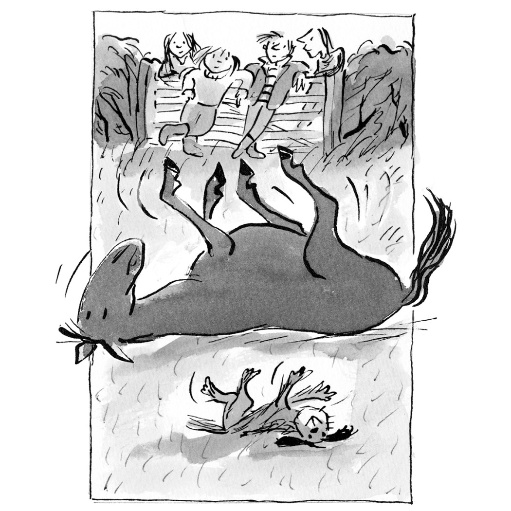 Koń, Który Zniknął - Charlie i Wojownik - Clare Balding - Wydawnictwo Dwie Siostry