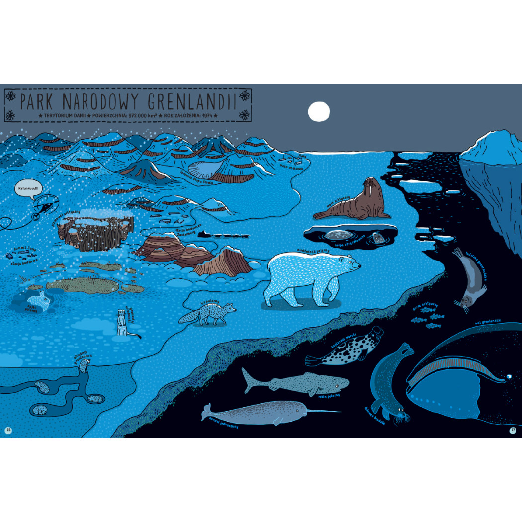 Którędy do Yellowstone? Dzika Podróż po Parkach Narodowych - Aleksandra i Daniel Mizielińscy - Wydawnictwo Dwie Siostry