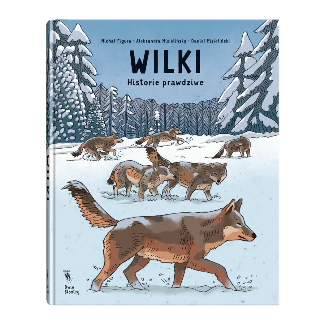 Wilki. Historie Prawdziwe - Przyrodniczy Komiks - Michał Figura, Aleksandra i Daniel Mizielińscy - Wydawnictwo Dwie Siostry