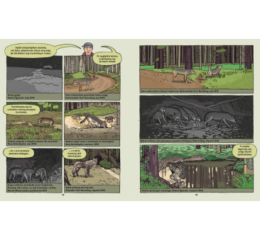 Wilki. Historie Prawdziwe - Przyrodniczy Komiks - Michał Figura, Aleksandra i Daniel Mizielińscy - Wydawnictwo Dwie Siostry