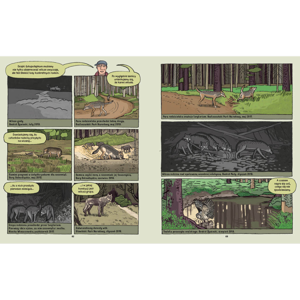 Wilki. Historie Prawdziwe - Przyrodniczy Komiks - Michał Figura, Aleksandra i Daniel Mizielińscy - Wydawnictwo Dwie Siostry