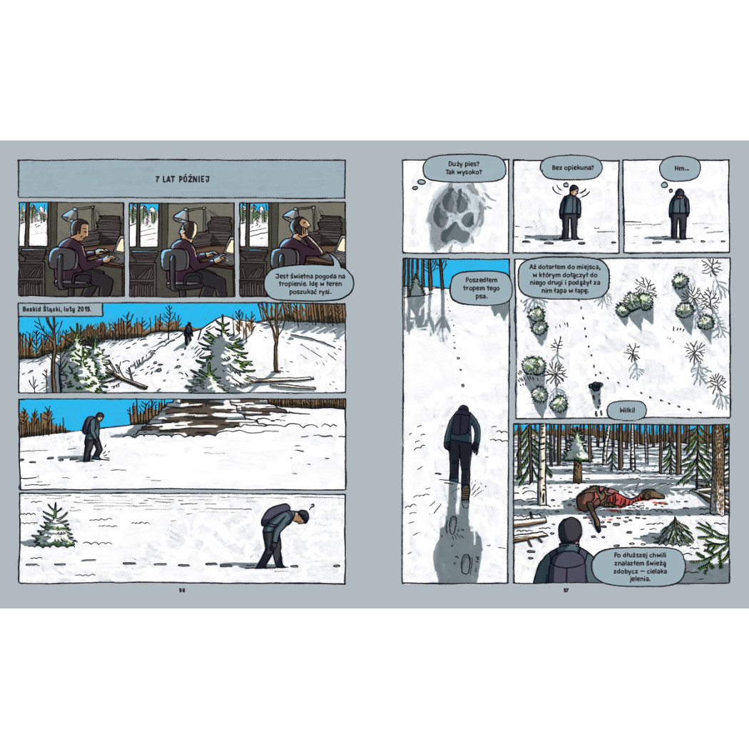 Wilki. Historie Prawdziwe - Przyrodniczy Komiks - Michał Figura, Aleksandra i Daniel Mizielińscy - Wydawnictwo Dwie Siostry