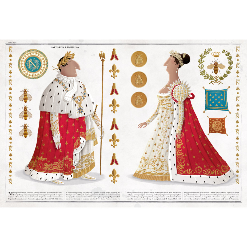 Pszczoły - Album o Pszczołach - Wojciech Grajkowski - Wydawnictwo Dwie Siostry