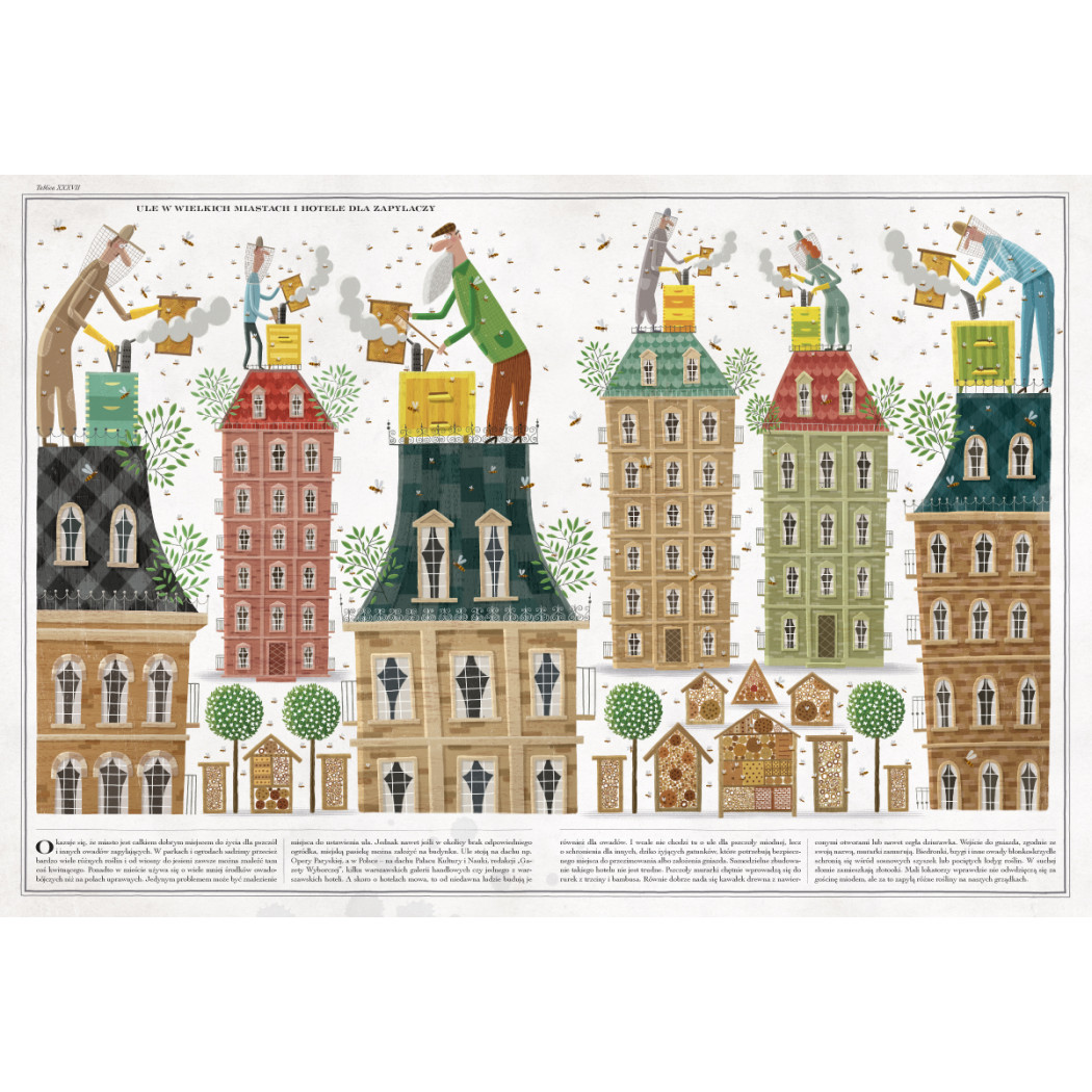 Pszczoły - Album o Pszczołach - Wojciech Grajkowski - Wydawnictwo Dwie Siostry