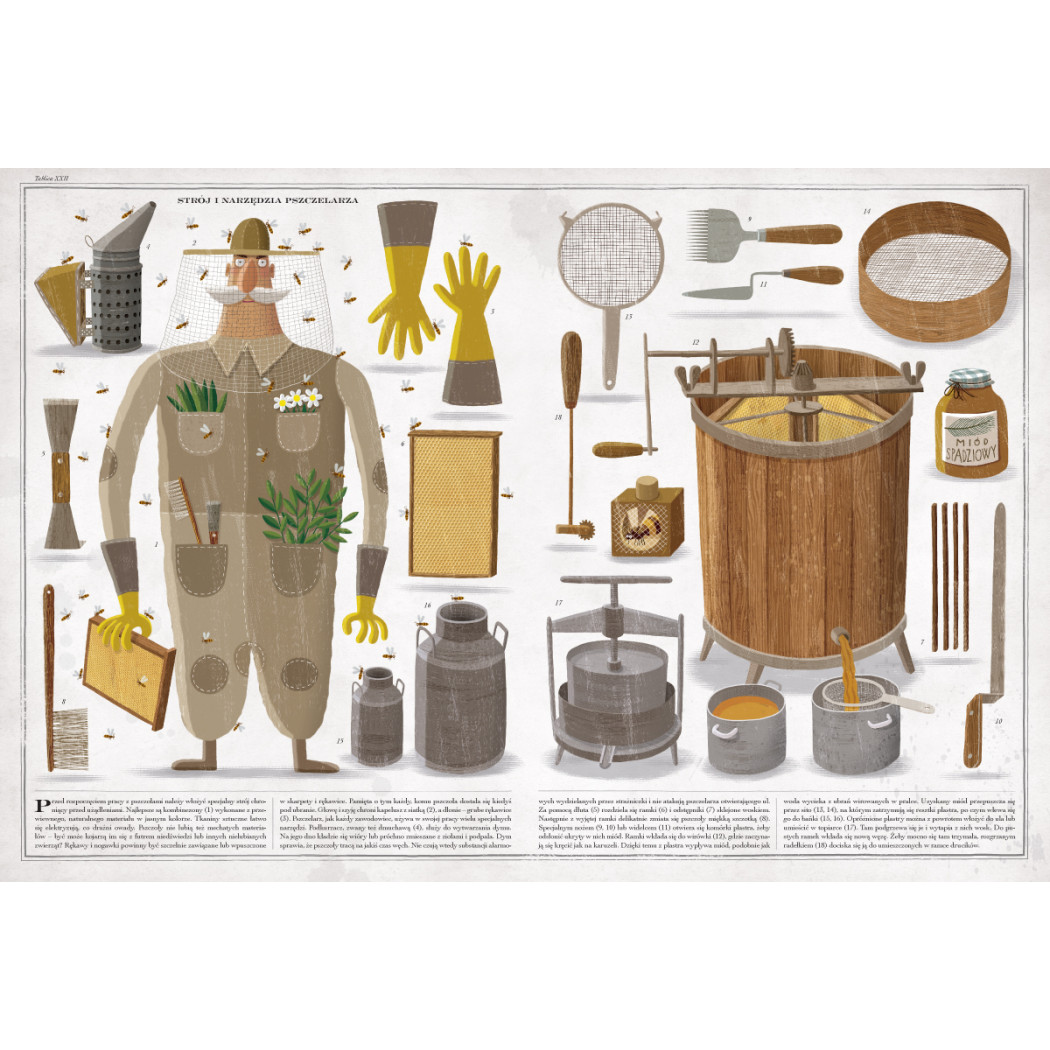 Pszczoły - Album o Pszczołach - Wojciech Grajkowski - Wydawnictwo Dwie Siostry