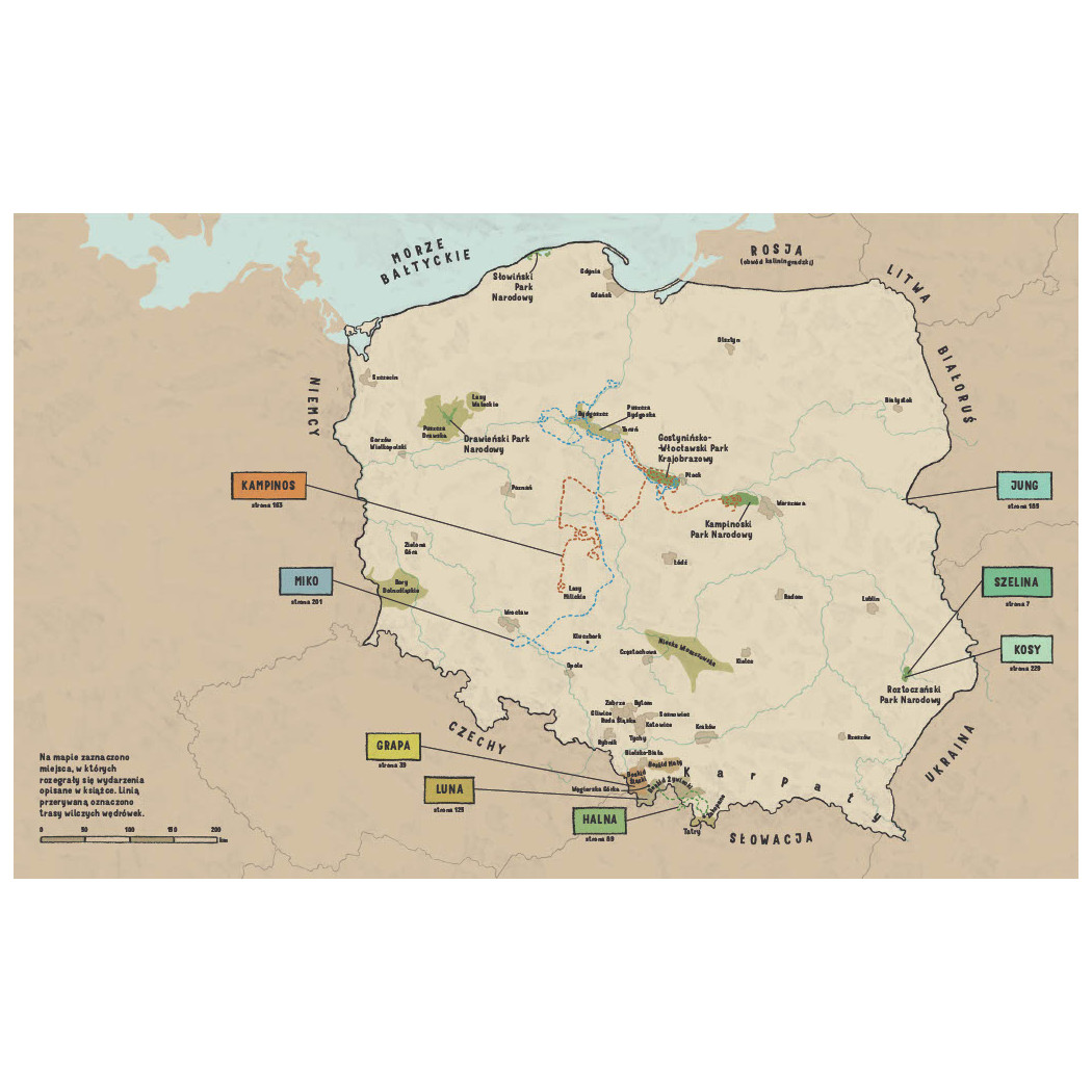 Wilki. Historie Prawdziwe - Przyrodniczy Komiks - Michał Figura, Aleksandra i Daniel Mizielińscy - Wydawnictwo Dwie Siostry